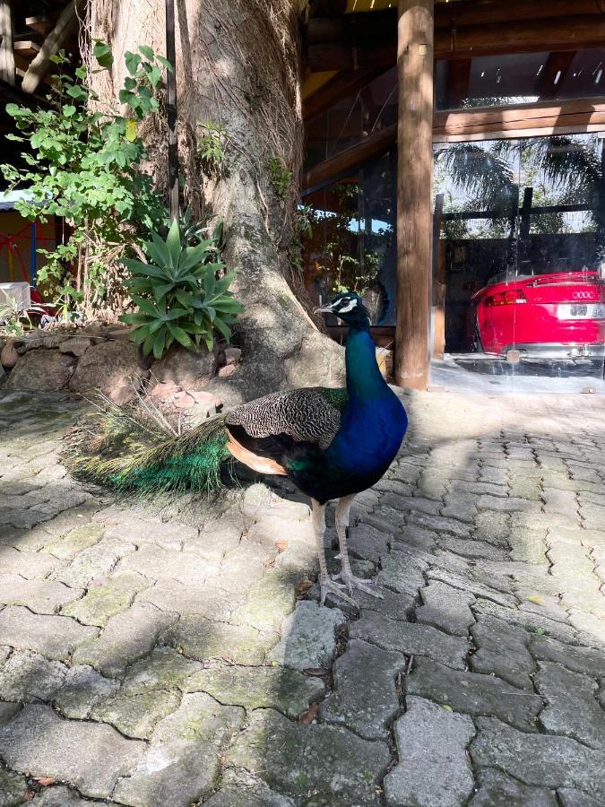 Pousada Familiar Casa Amarela São Gabriel Εξωτερικό φωτογραφία